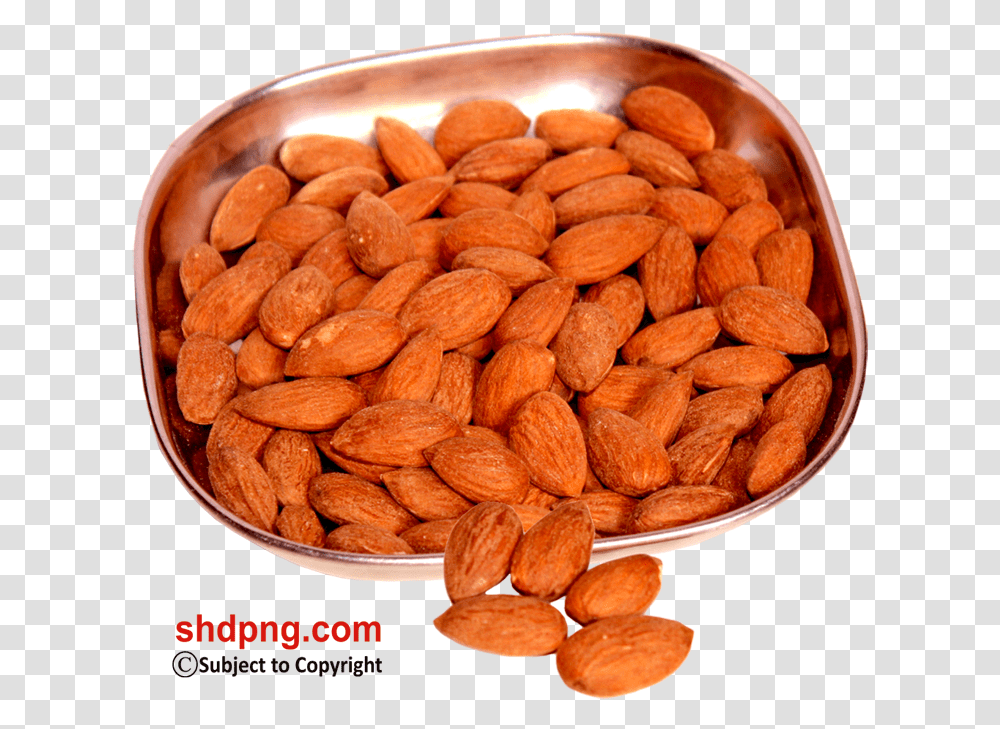 Almond, Nut, Vegetable, Plant, Food Transparent Png