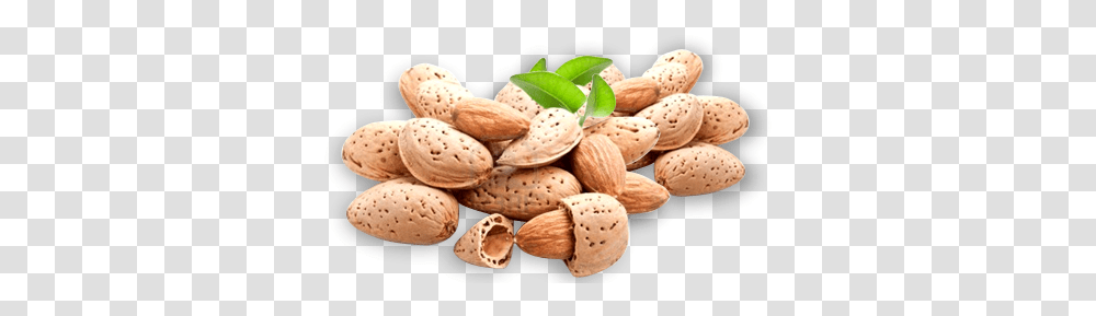 Almond, Nut, Vegetable, Plant, Food Transparent Png