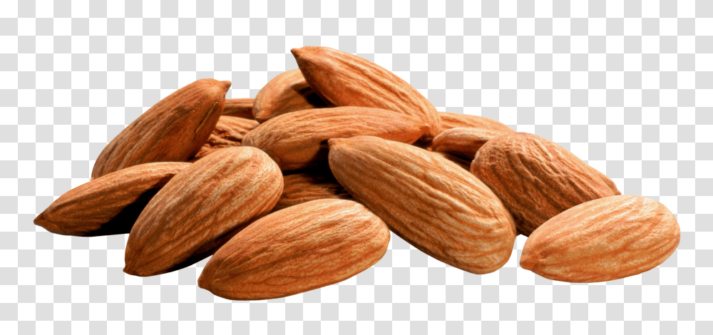 Almond, Nut, Vegetable, Plant, Food Transparent Png