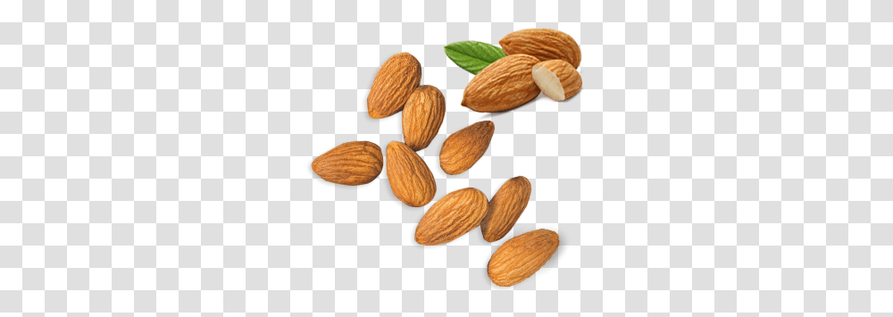 Almond, Nut, Vegetable, Plant, Food Transparent Png