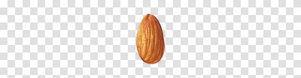 Almond, Nut, Vegetable, Plant, Food Transparent Png