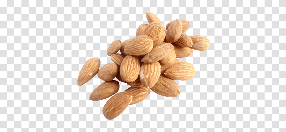 Almond, Nut, Vegetable, Plant, Food Transparent Png