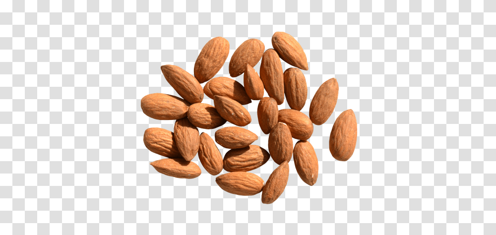 Almond, Nut, Vegetable, Plant, Food Transparent Png