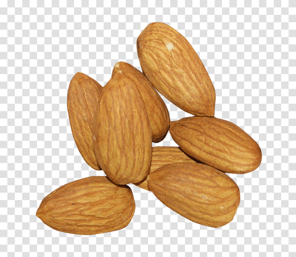 Almond, Nut, Vegetable, Plant, Food Transparent Png