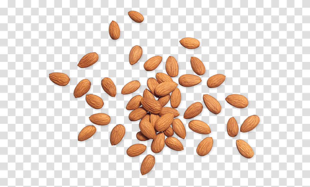 Almond Nuts Top, Plant, Vegetable, Food, Vegetation Transparent Png