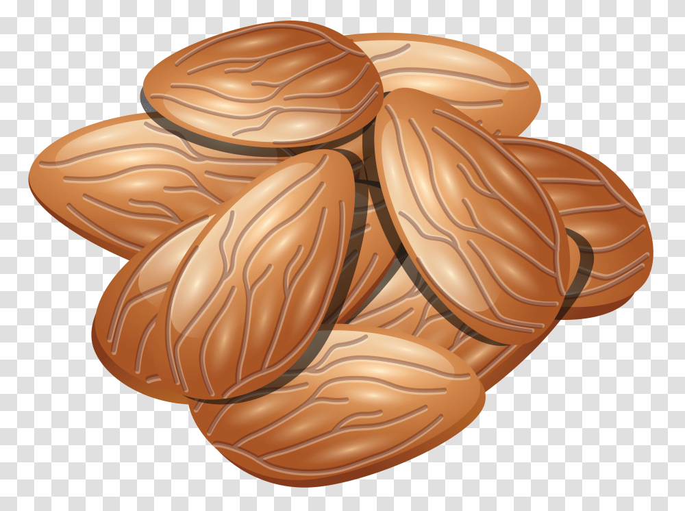 Almond, Plant, Apparel, Vegetable Transparent Png