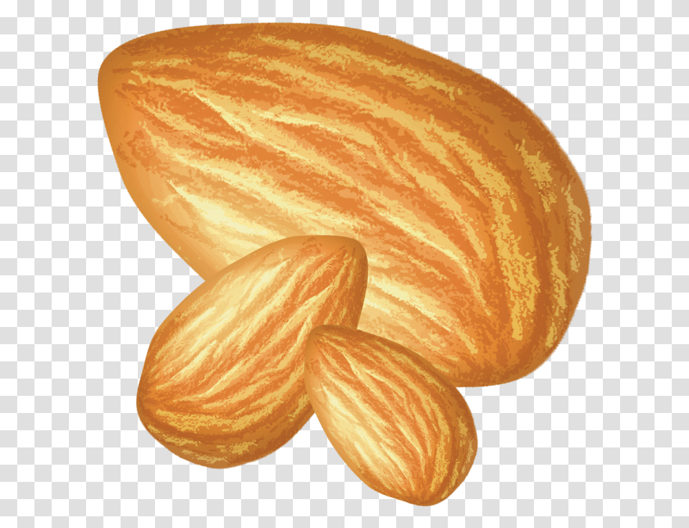 Almond, Plant, Fungus, Bread, Food Transparent Png