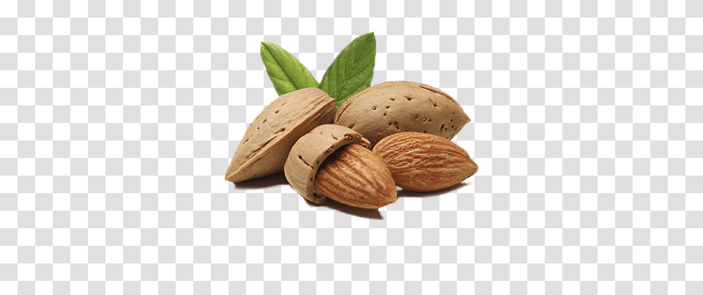 Almond, Plant, Fungus, Nut, Vegetable Transparent Png