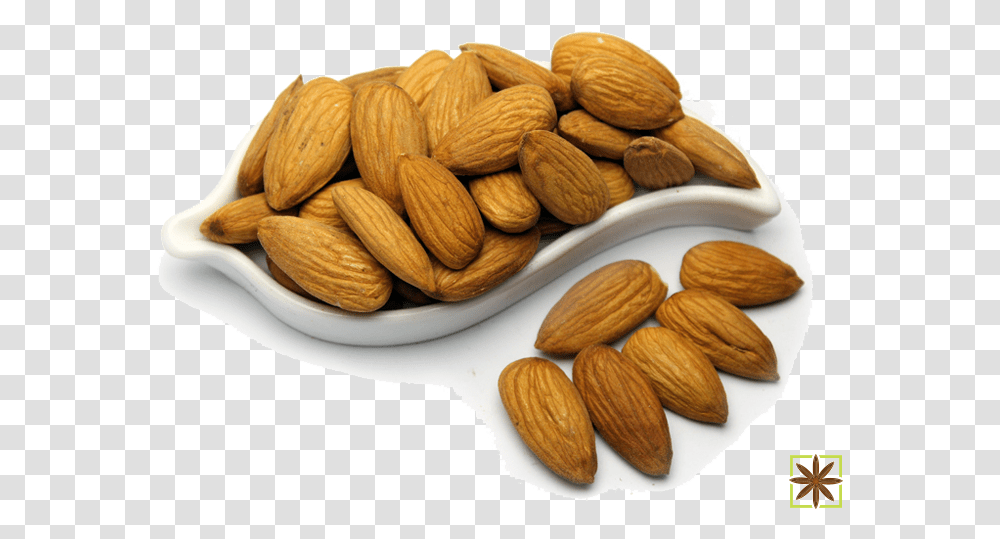 Almond, Plant, Nut, Vegetable, Food Transparent Png