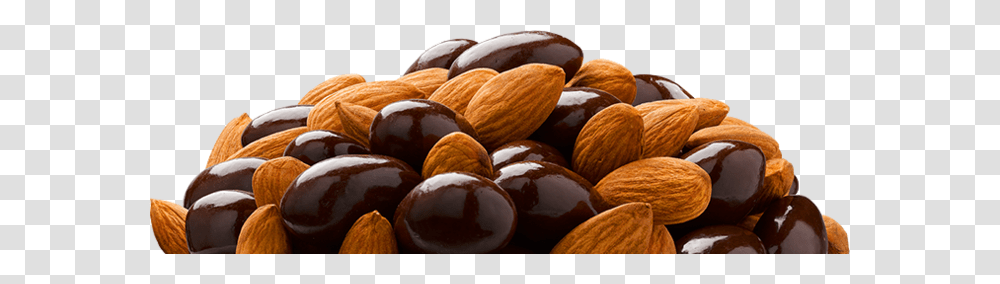 Almond, Plant, Nut, Vegetable, Food Transparent Png