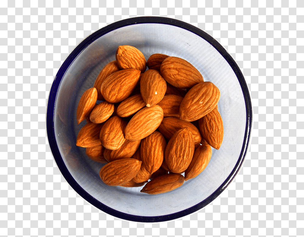 Almond, Plant, Nut, Vegetable, Food Transparent Png