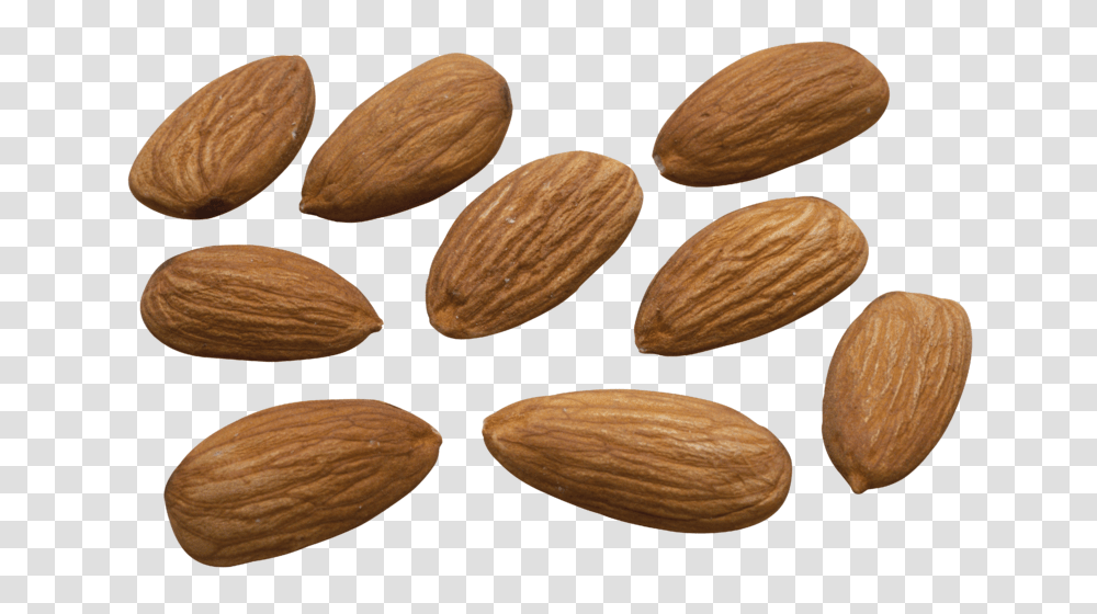 Almond, Plant, Nut, Vegetable, Food Transparent Png