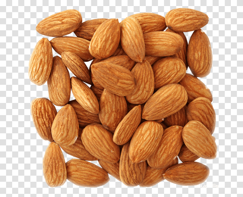 Almond, Plant, Nut, Vegetable, Food Transparent Png