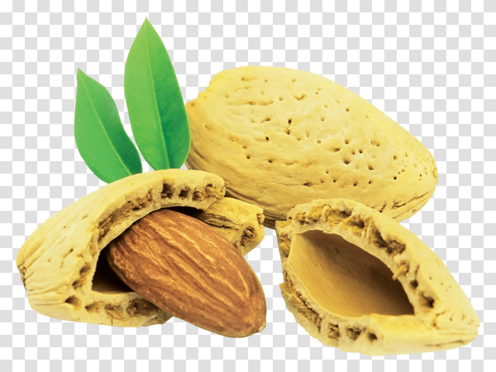 Almond, Plant, Nut, Vegetable, Food Transparent Png