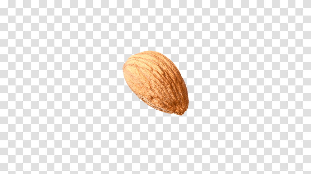 Almond, Plant, Nut, Vegetable, Food Transparent Png