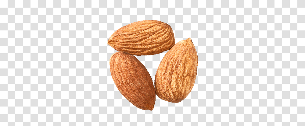 Almond, Plant, Nut, Vegetable, Food Transparent Png