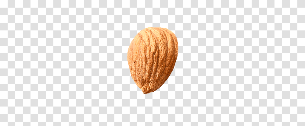 Almond, Plant, Nut, Vegetable, Food Transparent Png