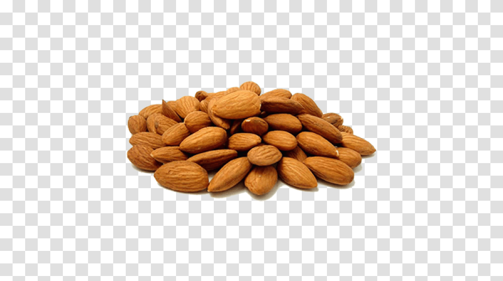 Almond, Plant, Nut, Vegetable, Food Transparent Png