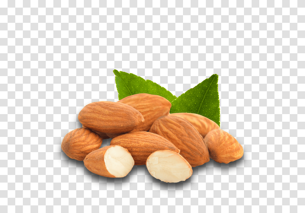 Almond, Plant, Nut, Vegetable, Food Transparent Png