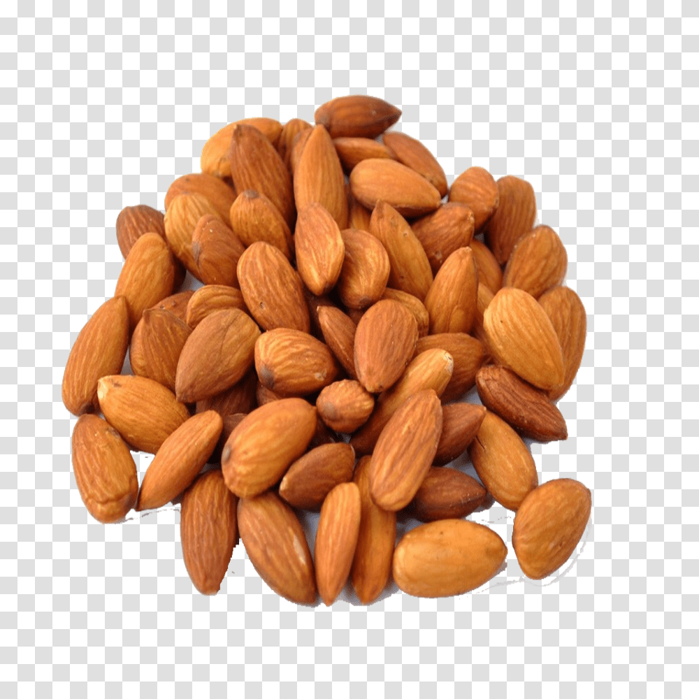 Almond, Plant, Nut, Vegetable, Food Transparent Png