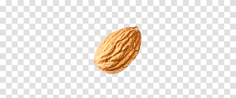 Almond, Plant, Nut, Vegetable, Food Transparent Png