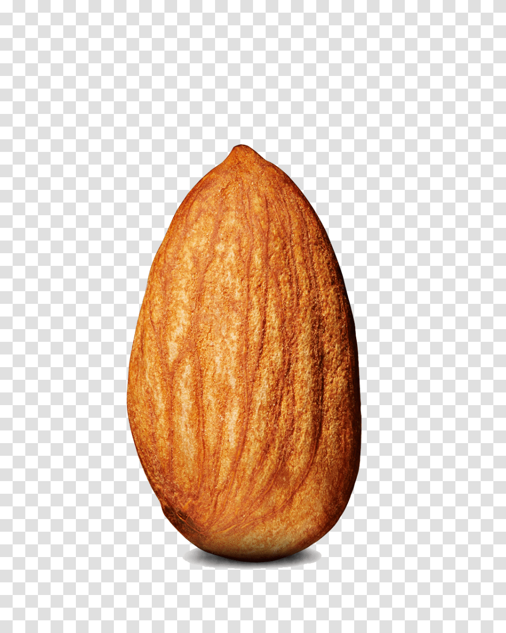 Almond, Plant, Nut, Vegetable, Food Transparent Png