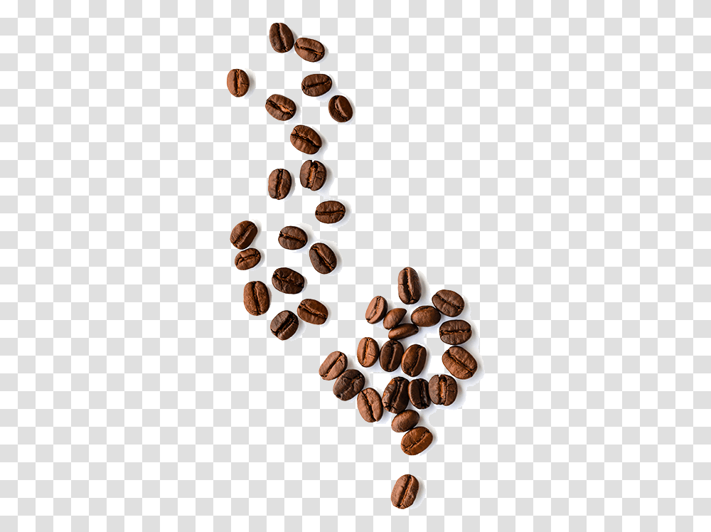 Almond, Plant, Nut, Vegetable, Food Transparent Png