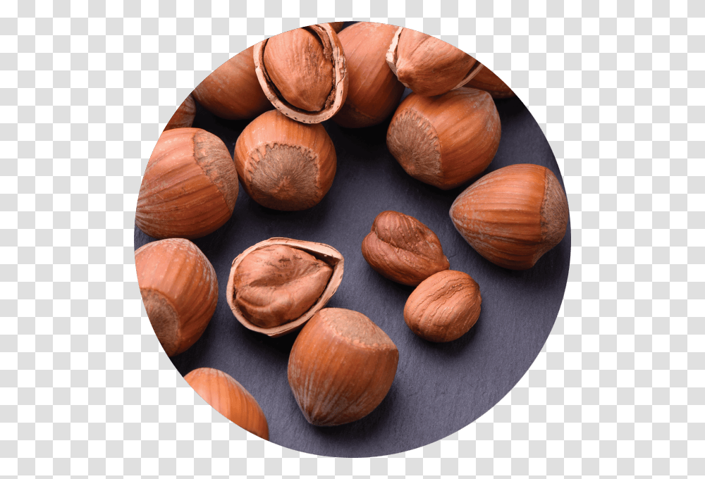 Almond, Plant, Nut, Vegetable, Food Transparent Png