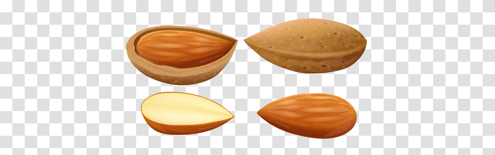 Almond, Plant, Vegetable, Food, Nut Transparent Png