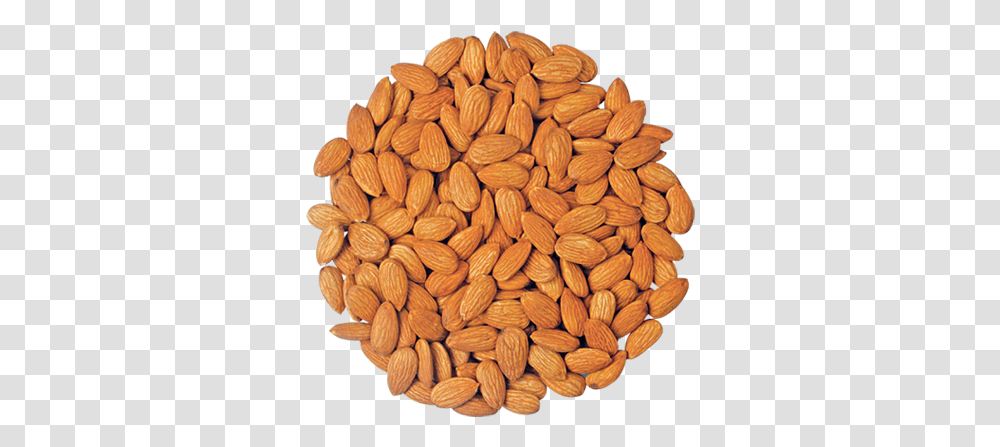 Almond, Plant, Vegetable, Food, Nut Transparent Png