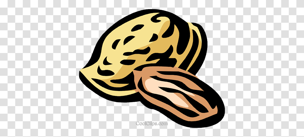 Almond Royalty Free Vector Clip Art Illustration, Food, Animal, Plant, Face Transparent Png