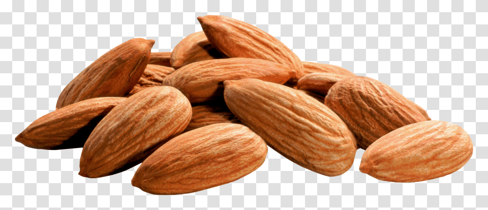 Almond Transparent Png