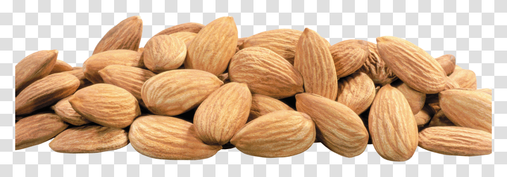 Almond Transparent Png