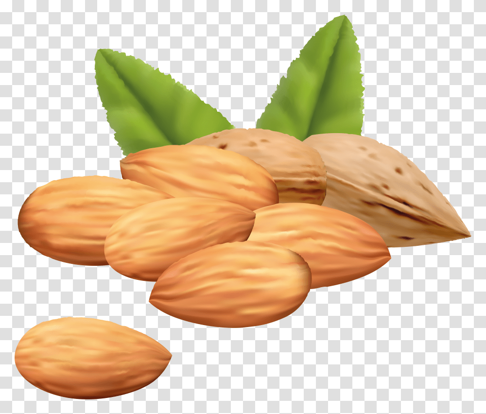 Almond Transparent Png