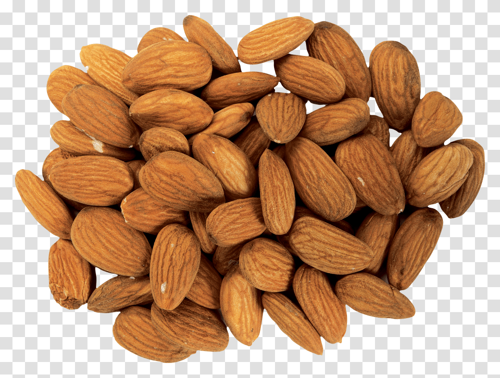 Almond Transparent Png