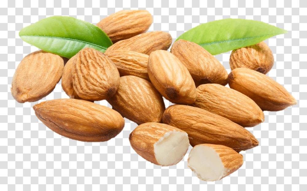 Almonds Download Almond, Plant, Nut, Vegetable, Food Transparent Png