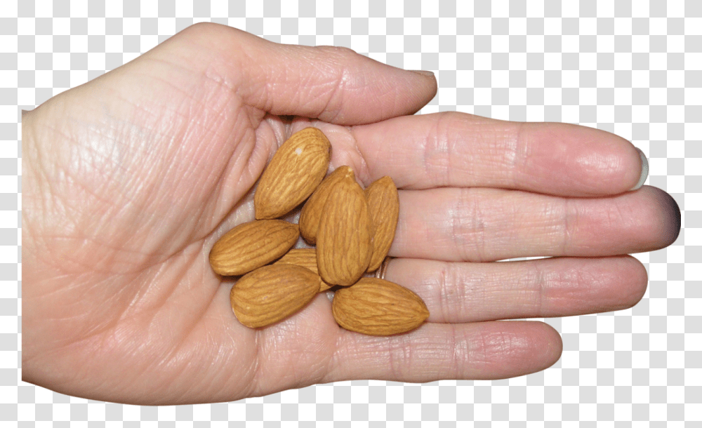 Almonds In Palm Image Almond, Plant, Nut, Vegetable, Food Transparent Png