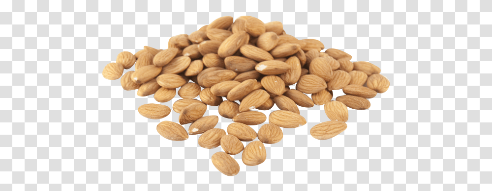 Almonds Natural Coin, Nut, Vegetable, Plant, Food Transparent Png