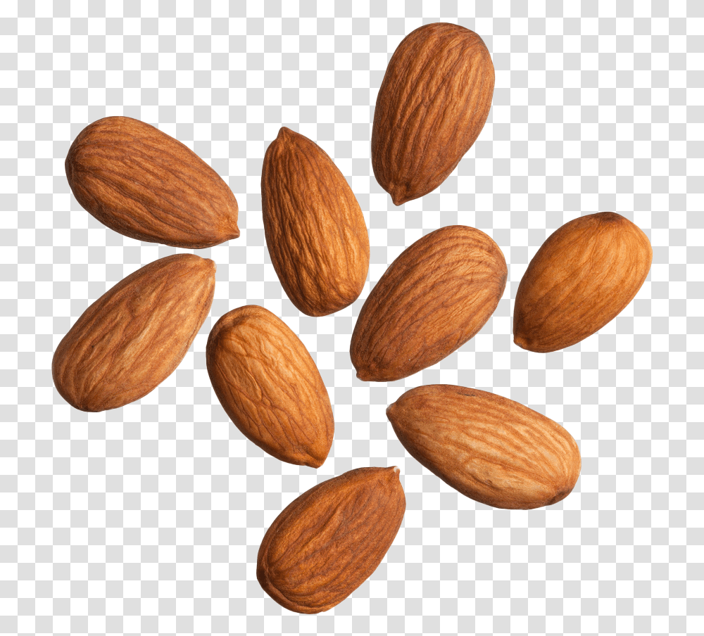 Almonds White Background, Nut, Vegetable, Plant, Food Transparent Png