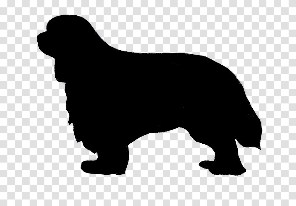 Almost Famous Dog, Silhouette, Bull, Mammal, Animal Transparent Png
