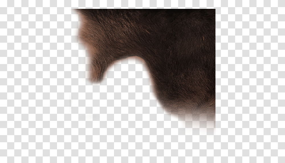 Almost Forgot But There Is A Hair Hair Design, Person, Head, Face, Mouth Transparent Png