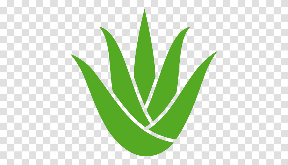 Aloe Aristata Leaves Plant Soothing Succulent Vera Icon, Leaf, Scissors, Blade, Weapon Transparent Png