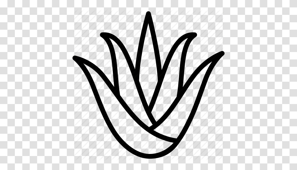 Aloe Aristata Leaves Plant Soothing Succulent Vera Icon, Handwriting Transparent Png
