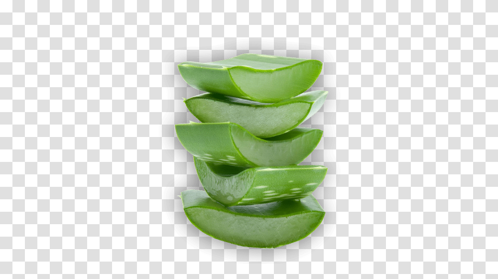 Aloe Gamora Gold, Plant, Leaf, Sliced, Rose Transparent Png