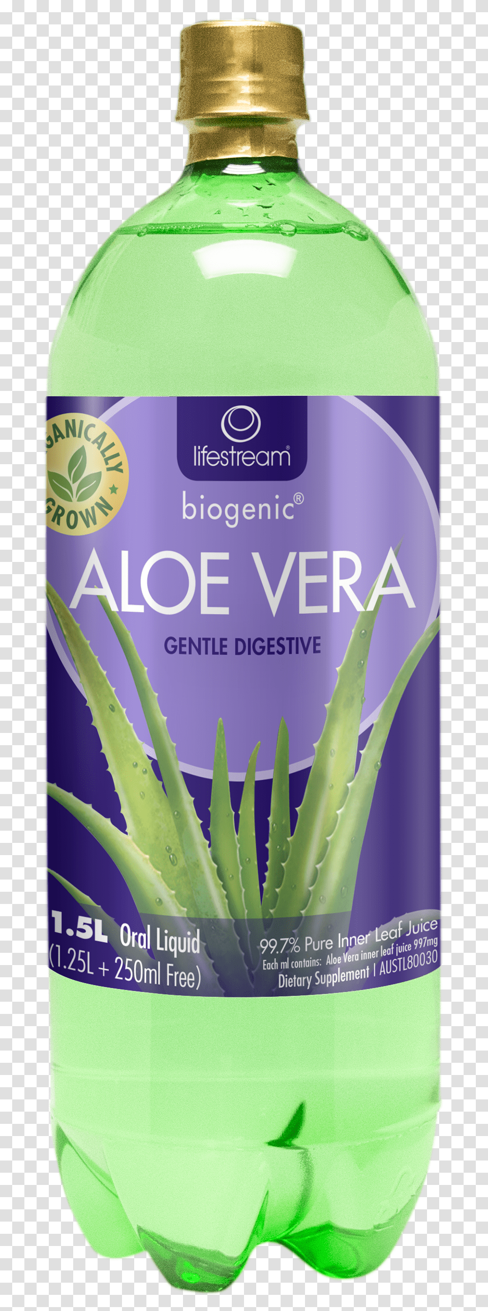 Aloe Juice, Plant, Bottle, Shampoo Transparent Png