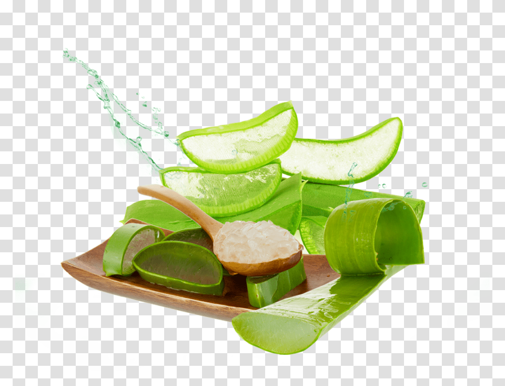 Aloe Photos, Plant, Lime, Citrus Fruit, Food Transparent Png