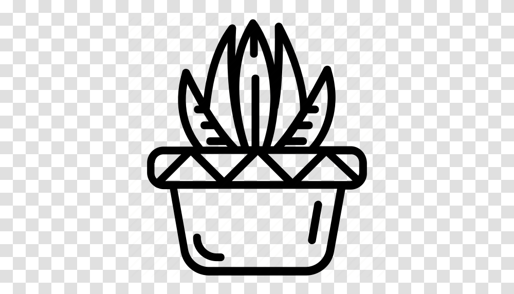 Aloe Vera Cactus Nature Pot Plant Succulent Icon, Piano, Leisure Activities, Musical Instrument, Basket Transparent Png