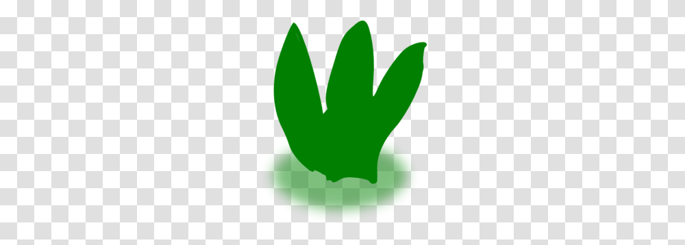 Aloe Vera Clip Art, Leaf, Plant, Tree Transparent Png