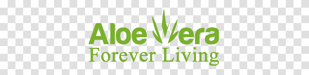 Aloe Vera Forever Living, Tennis Court, Sport, Sports, Word Transparent Png