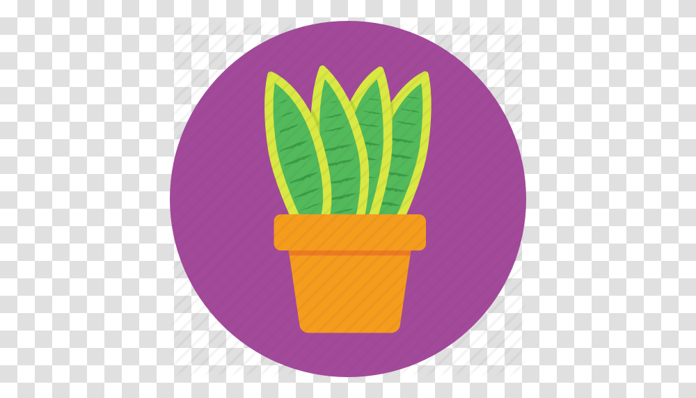 Aloe Vera Garden Plant Pot Succulent Icon, Food, Word, Sweets, Confectionery Transparent Png